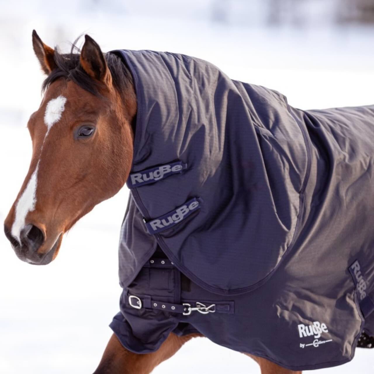 Outdoordecke 200g RugBe Winterdecke