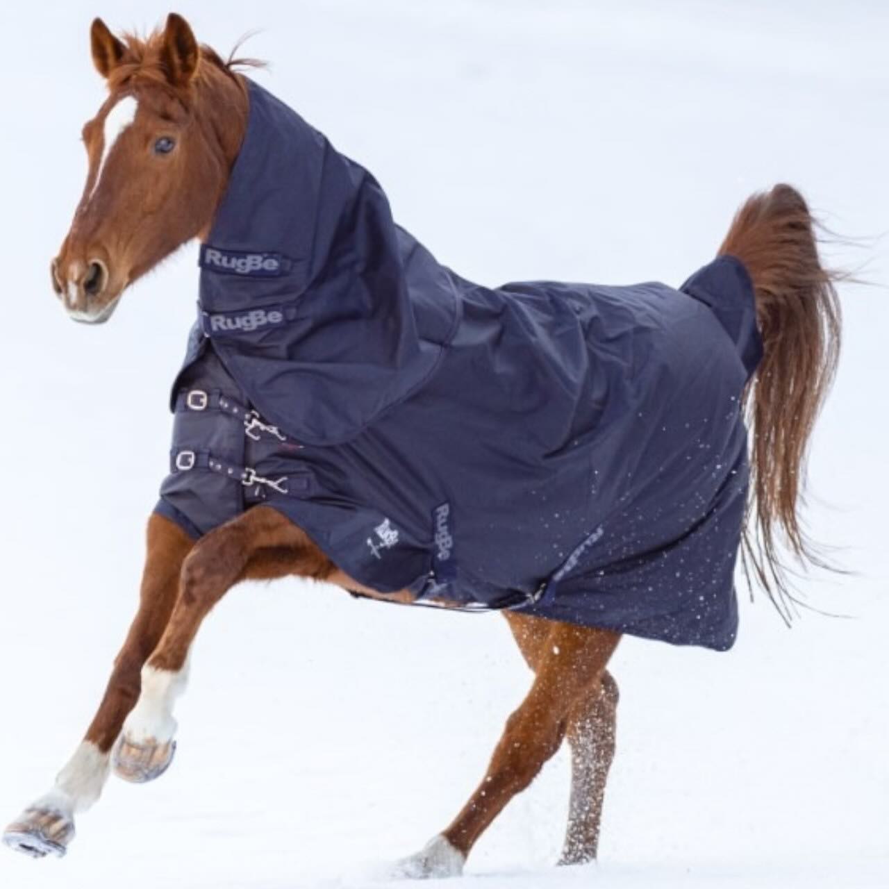 Outdoordecke 300g RugBe Winterdecke