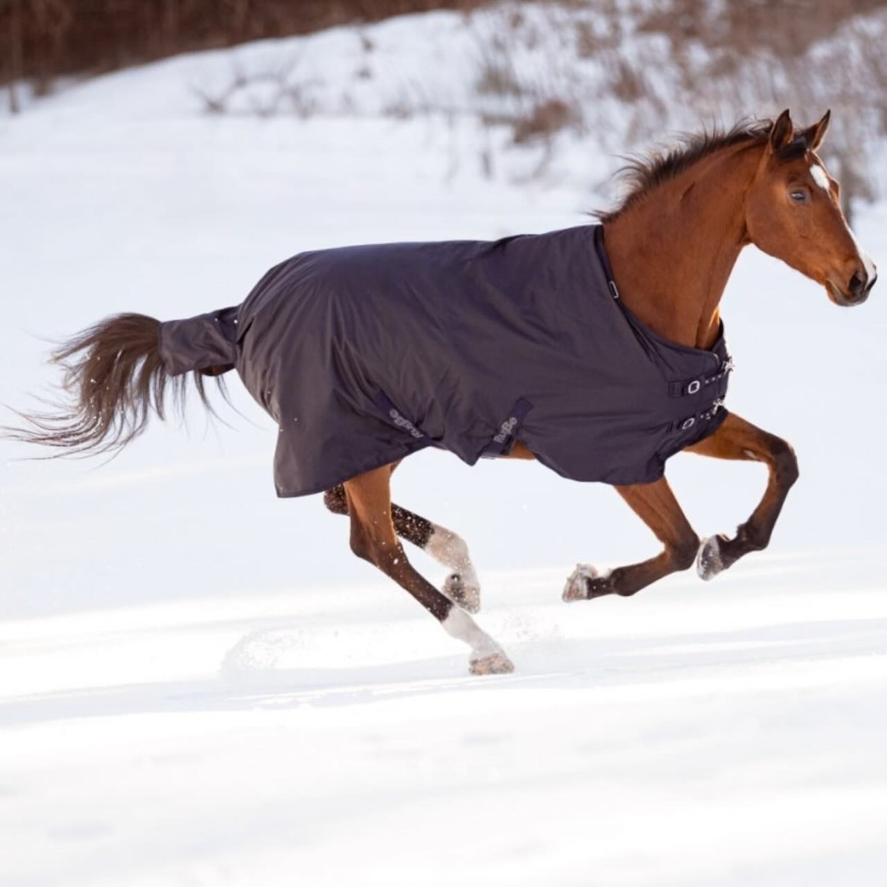 Outdoordecke 300g RugBe Winterdecke