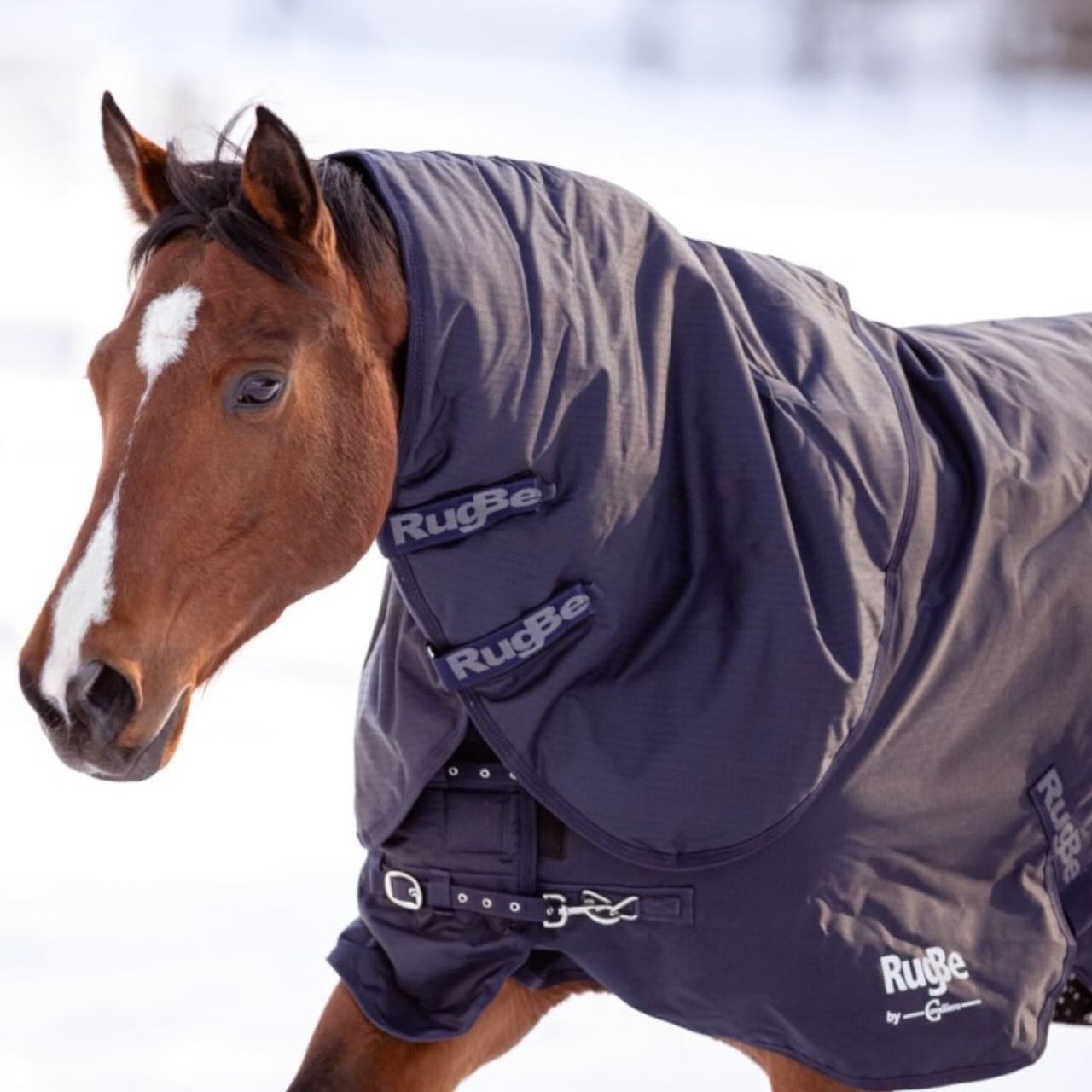 Outdoordecke 300g RugBe Winterdecke