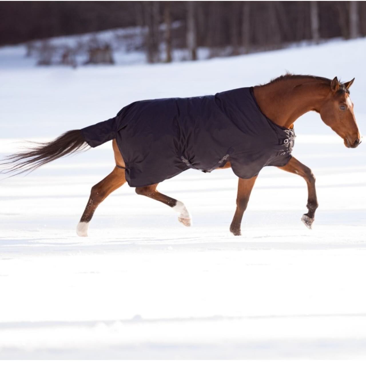 Outdoordecke 300g RugBe Winterdecke