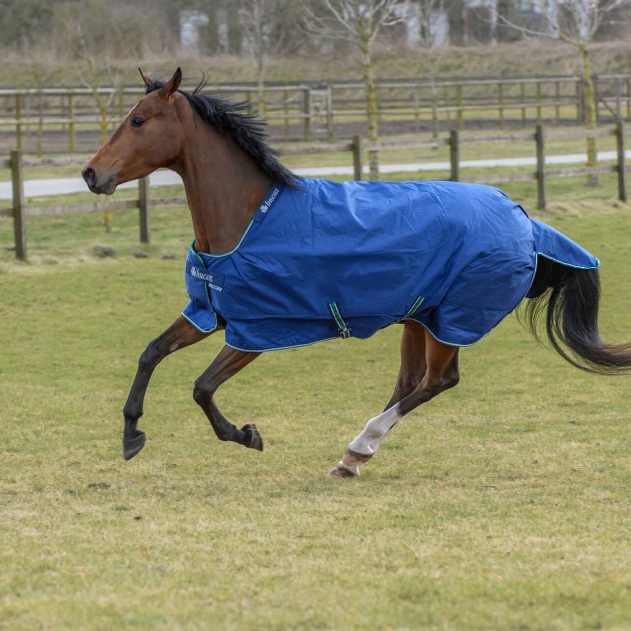Outdoordecke 300g Smartex Turnout Extra Big Neck Weidedecke