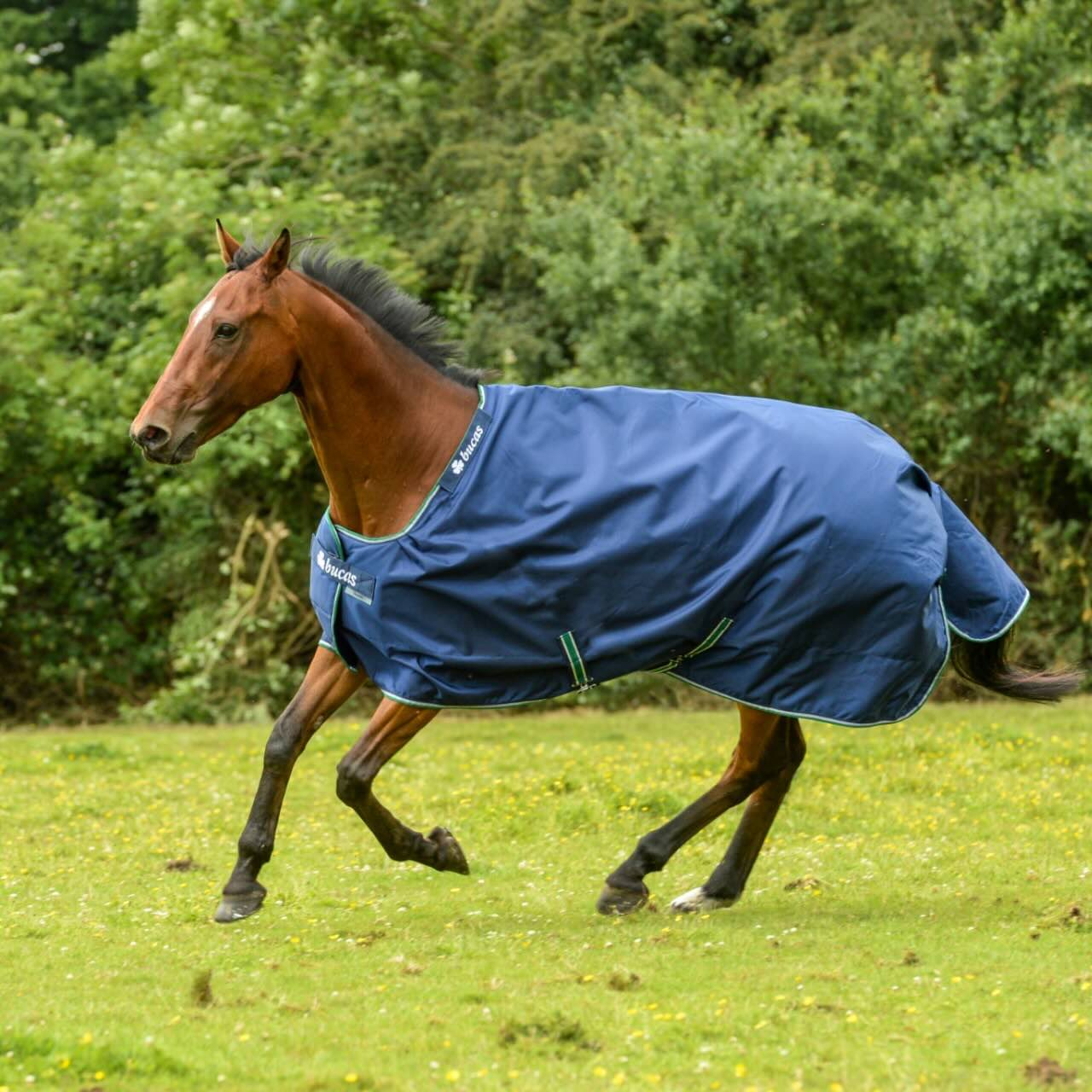 Outdoordecke 300g Smartex Turnout Extra Big Neck Weidedecke