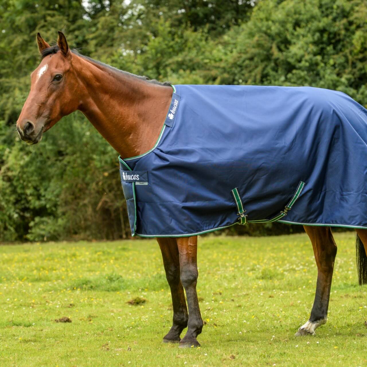 Outdoordecke 300g Smartex Turnout Extra Big Neck Weidedecke