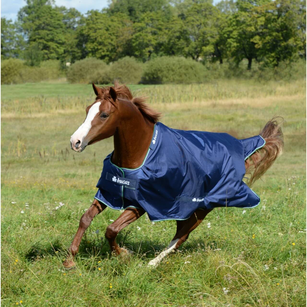 Outdoordecke 300g Smartex Turnout Extra Big Neck Weidedecke