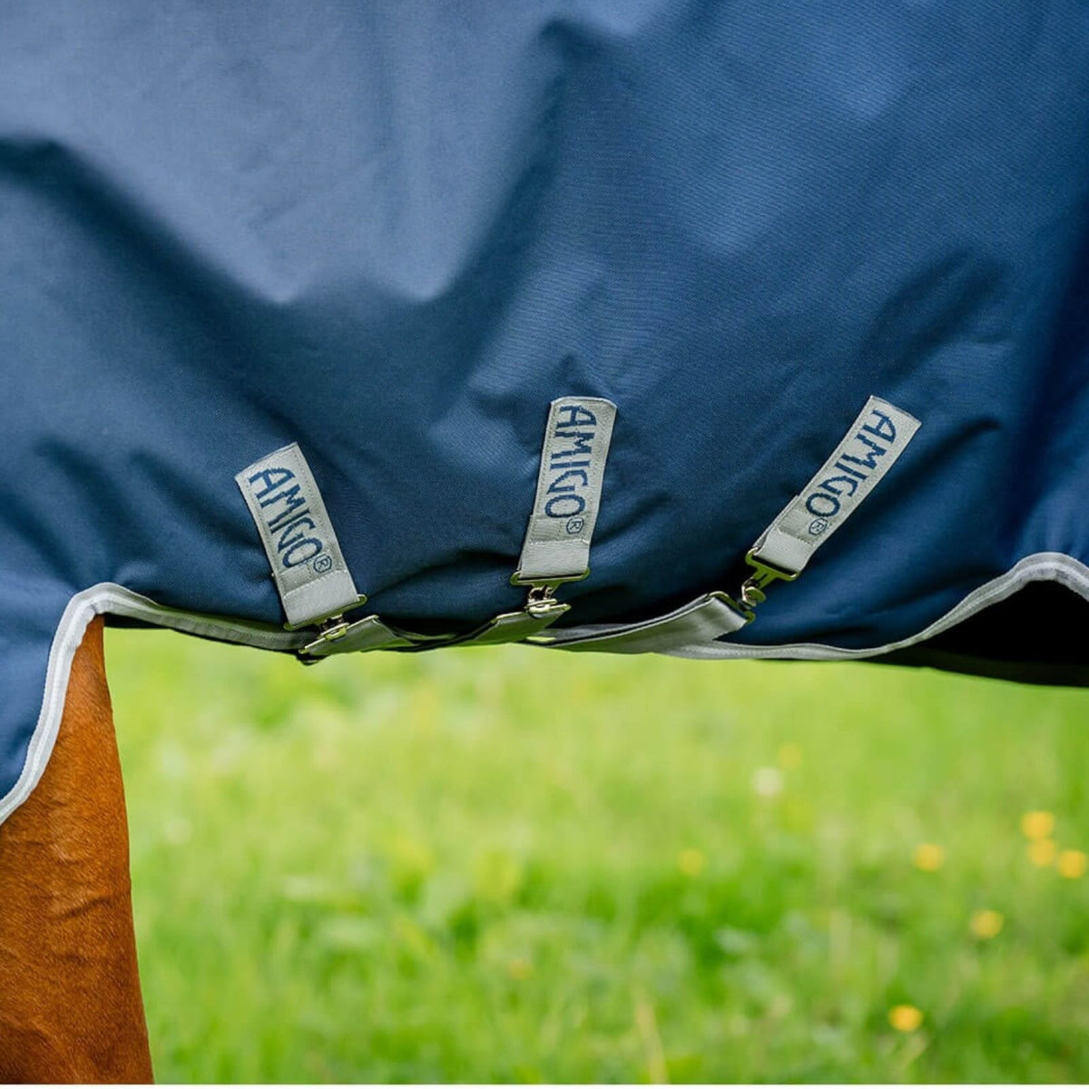Horseware Ireland Outdoordecke 50g + 100g + 200g Liner Amigo® Bravo 12 Bundle Weidedecke, blau, am Pferd im Weidebereich.