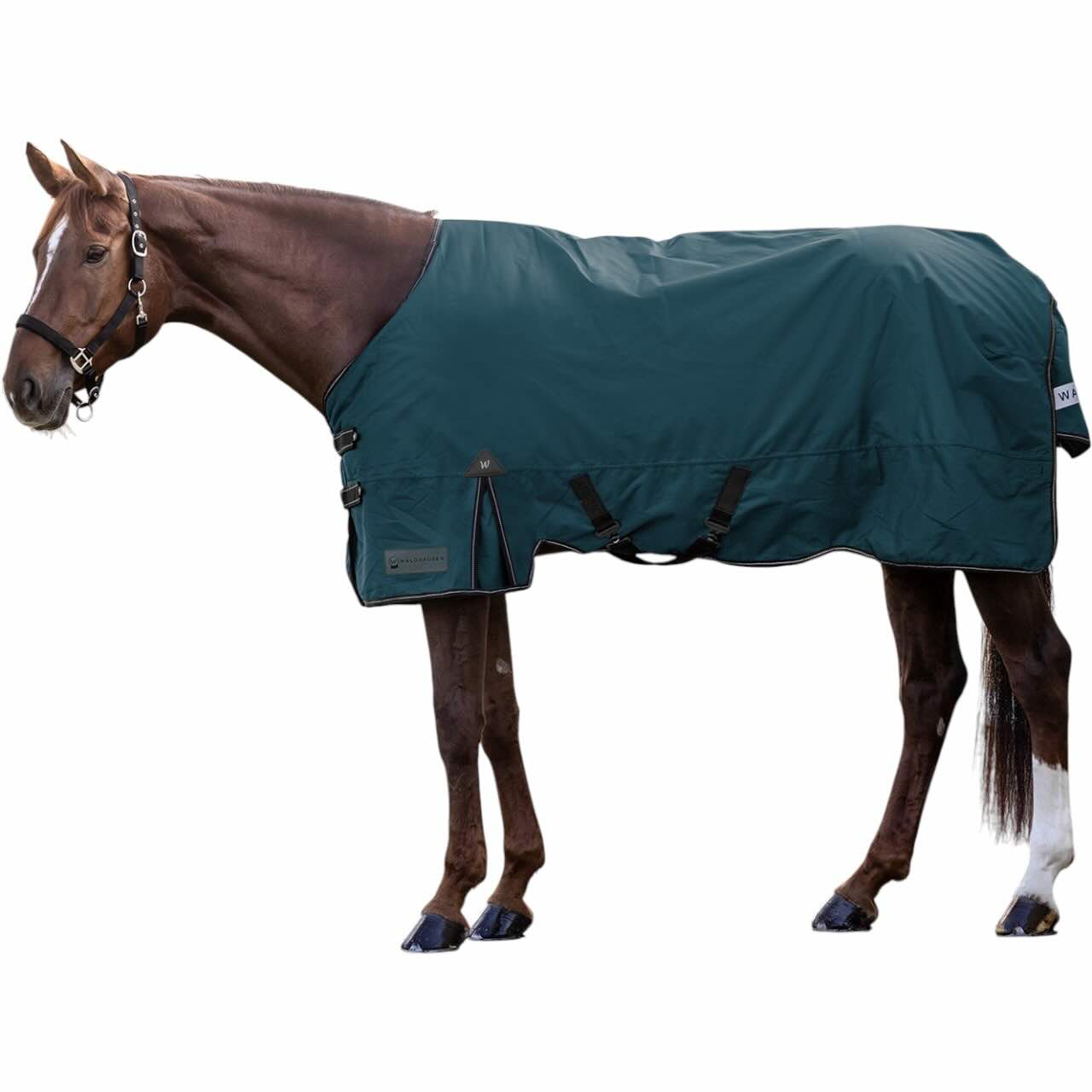 Outdoordecke 50g Arctic Weidedecke
