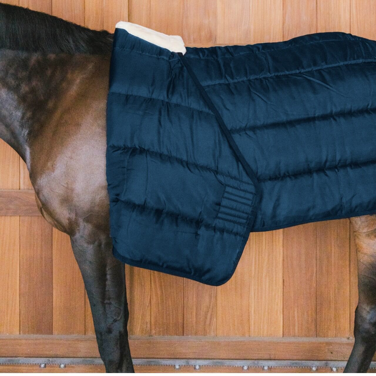 Unterdecke 100g Comfort Liner Turnout Rug