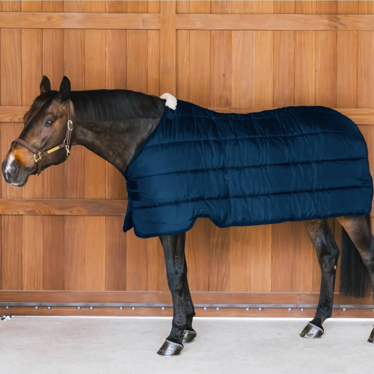 Unterdecke 300g Comfort Liner Turnout Rug