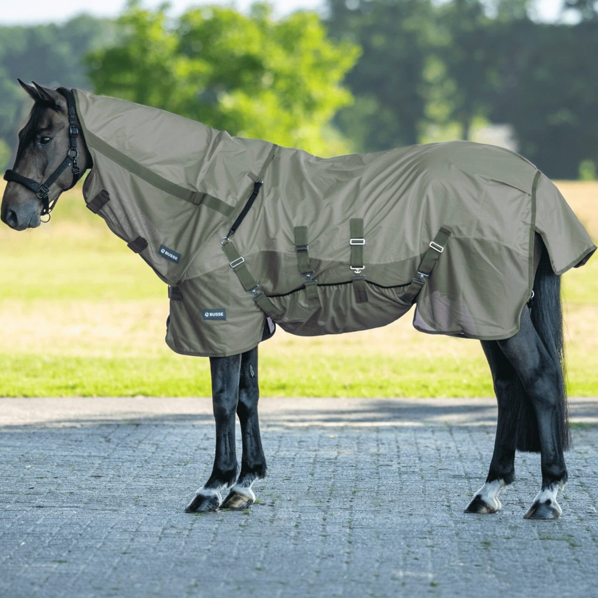 BUSSE Outdoordecke Rainfly BL Fliegendecke, Oliv, Pferd trägt die Decke im Freien.