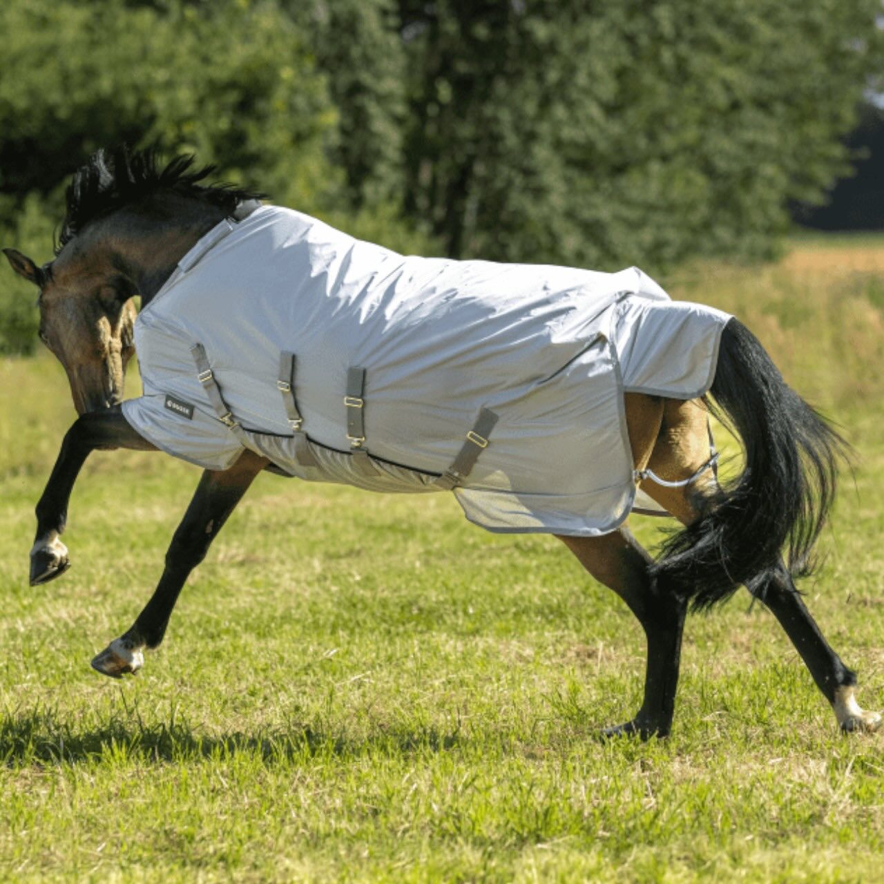 Halsteil Rainfly BK Neck Cover