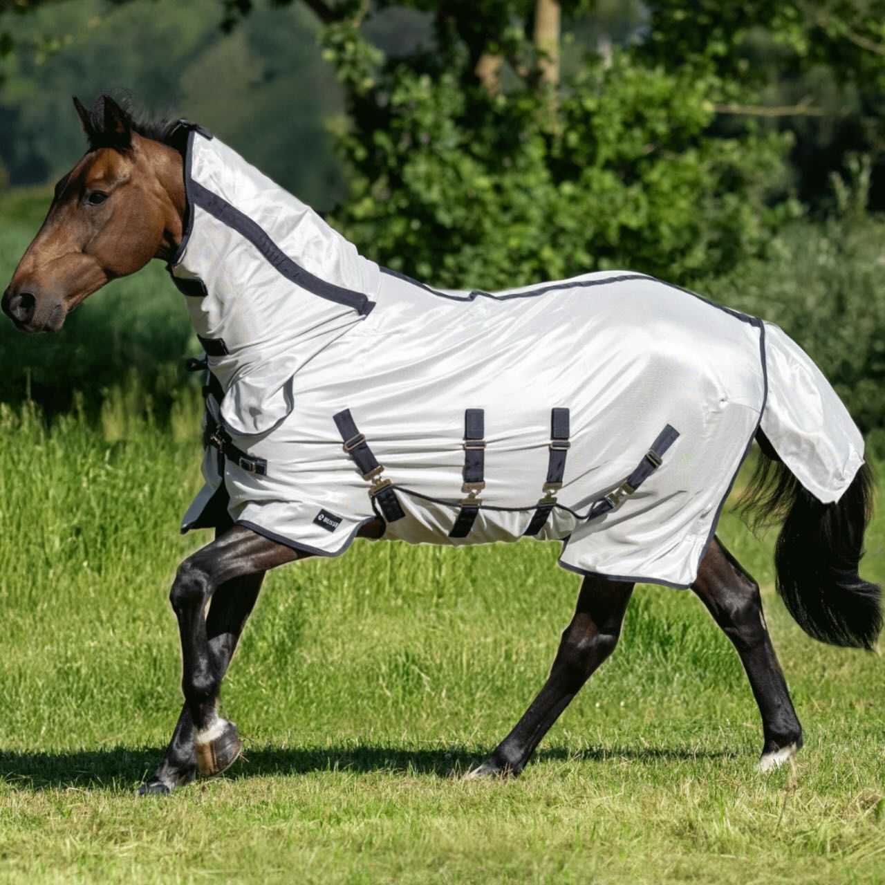 Outdoordecke Superb AB Fliegendecke