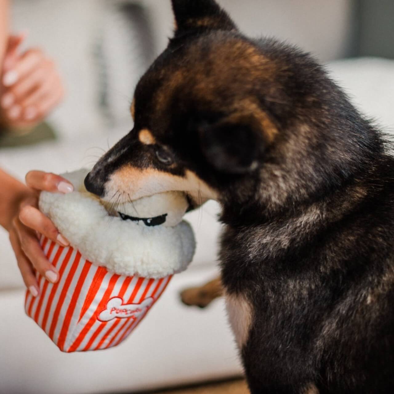 Hundespielzeug Plush Toy Hollywoof Cinema Collection