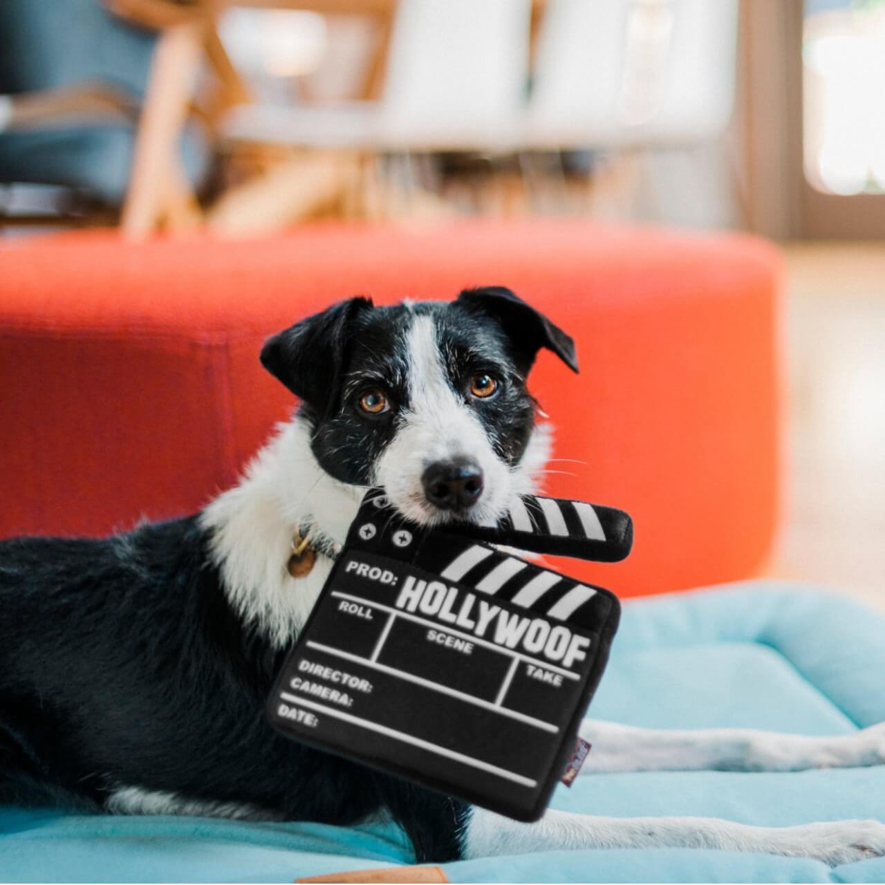 Hundespielzeug Plush Toy Hollywoof Cinema Collection
