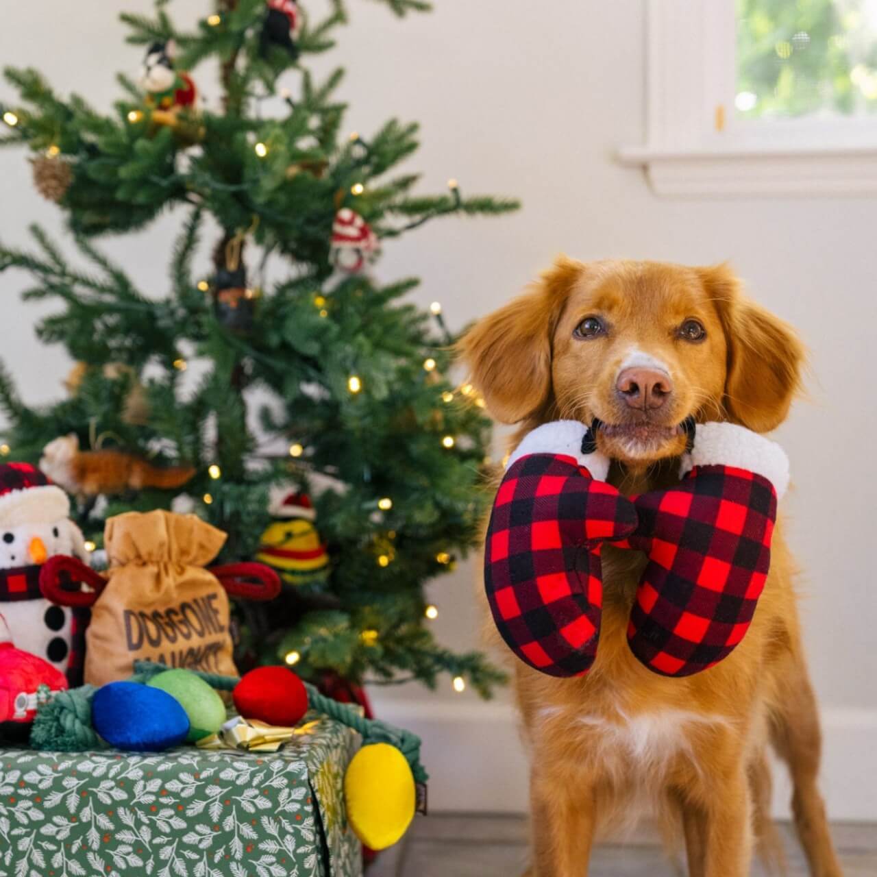 Hundespielzeug Home for the Holidays