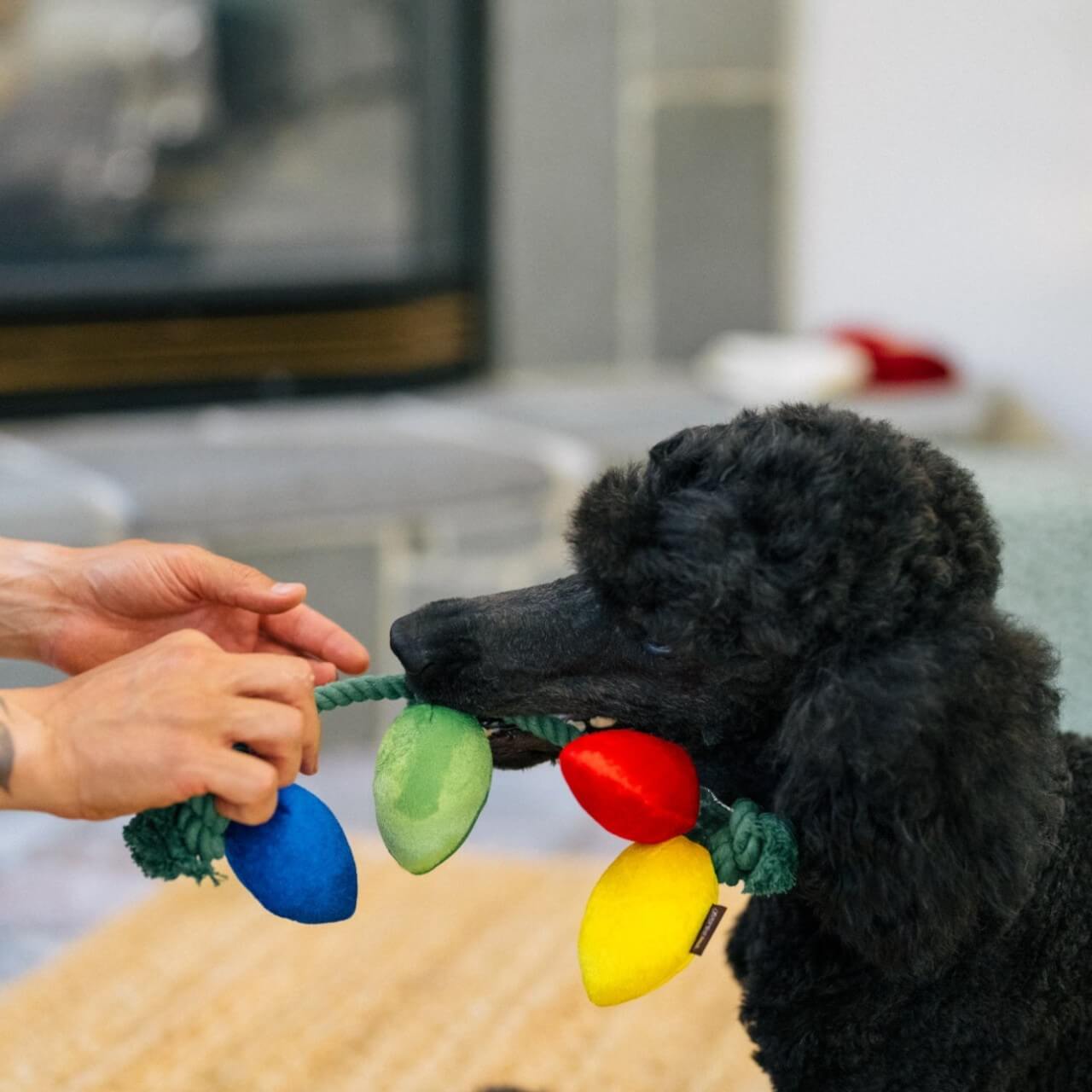 Hundespielzeug Home for the Holidays