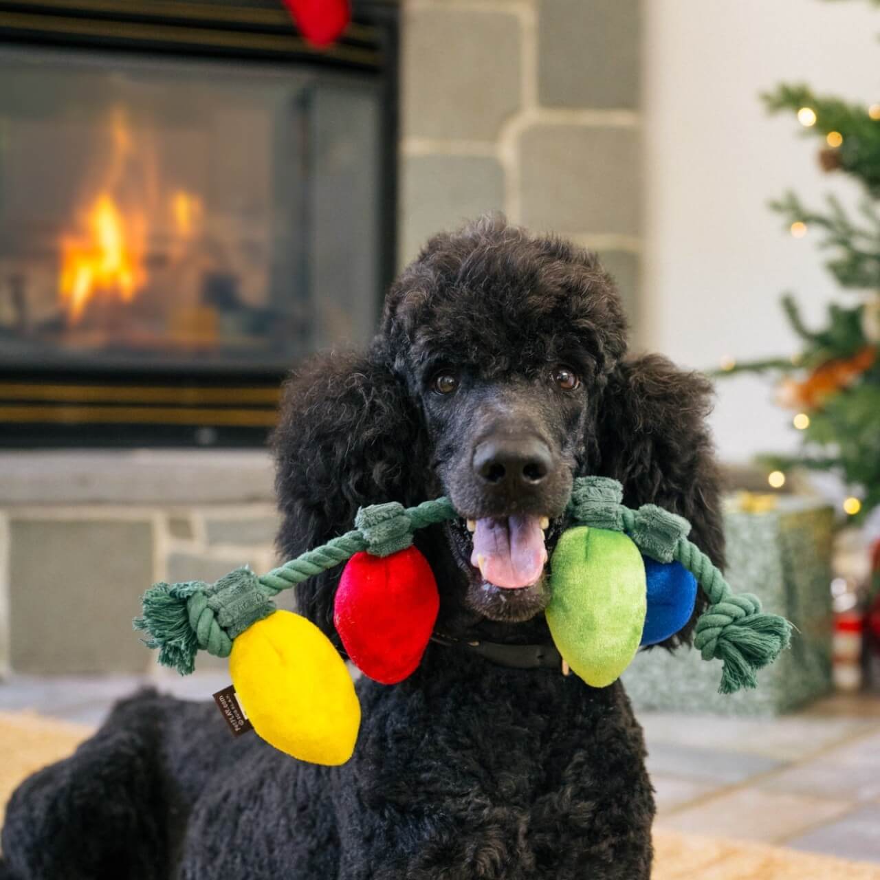 Hundespielzeug Home for the Holidays
