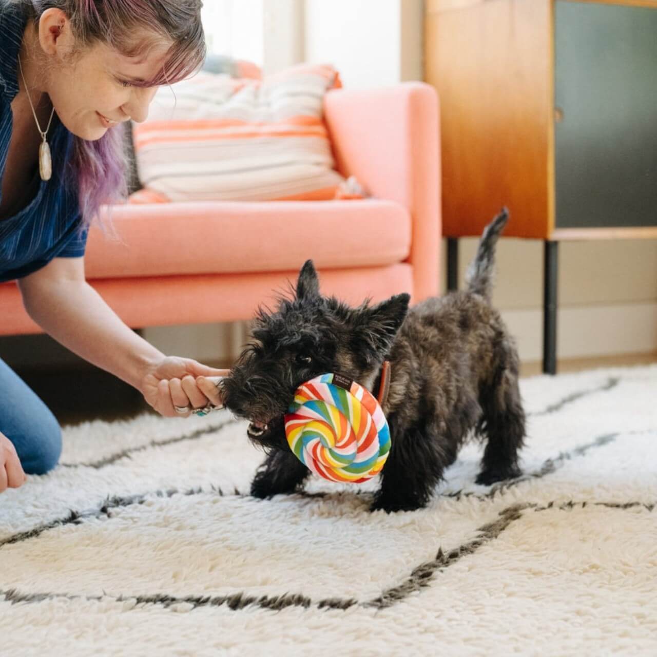 Hundespielzeug Snack Attack