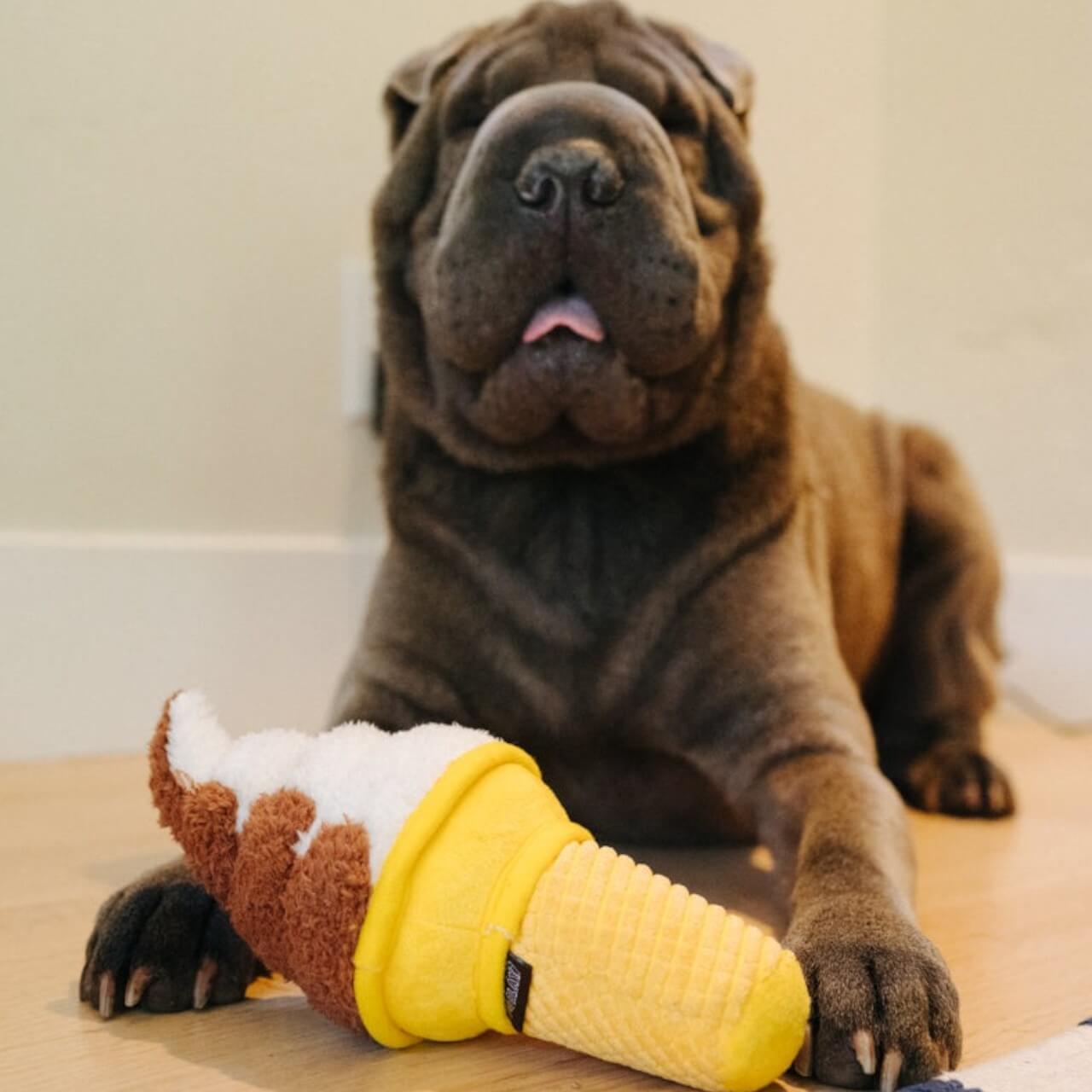 Hundespielzeug Snack Attack