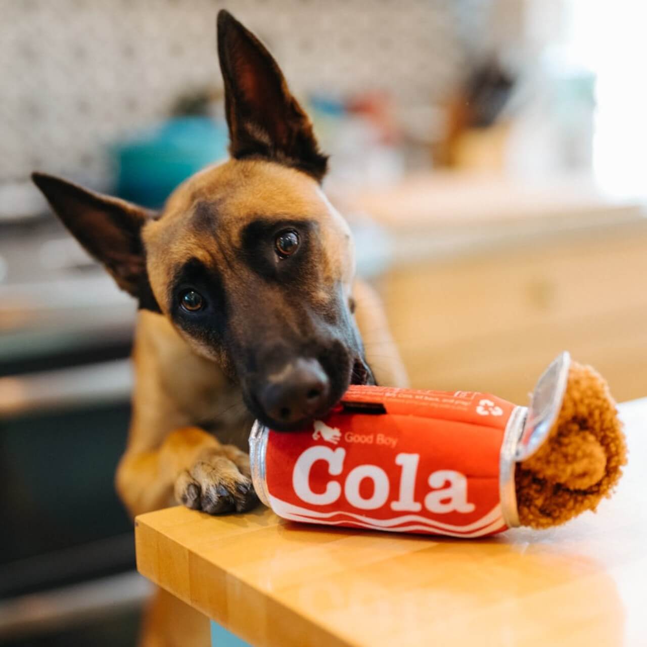 Hundespielzeug Snack Attack