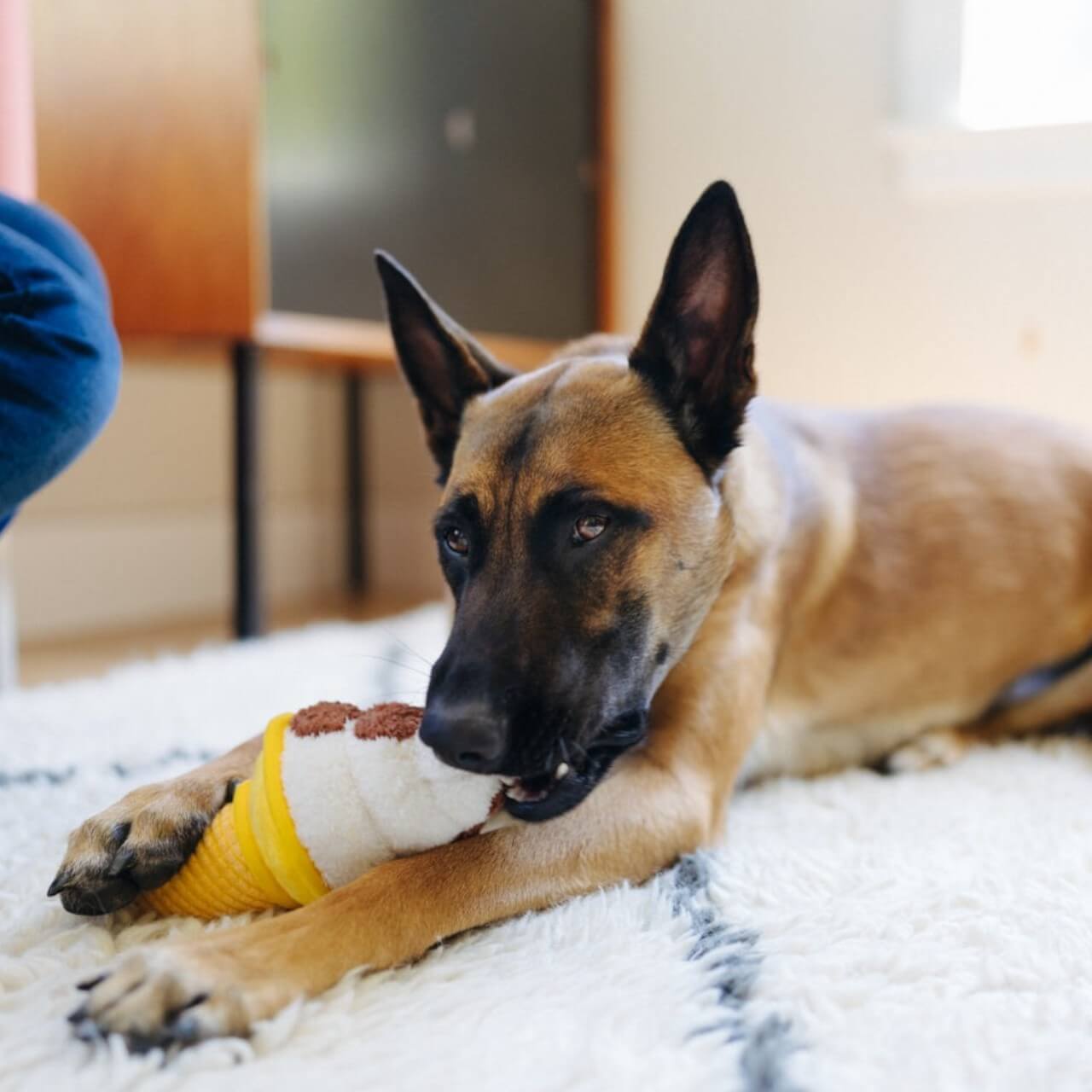 Hundespielzeug Snack Attack