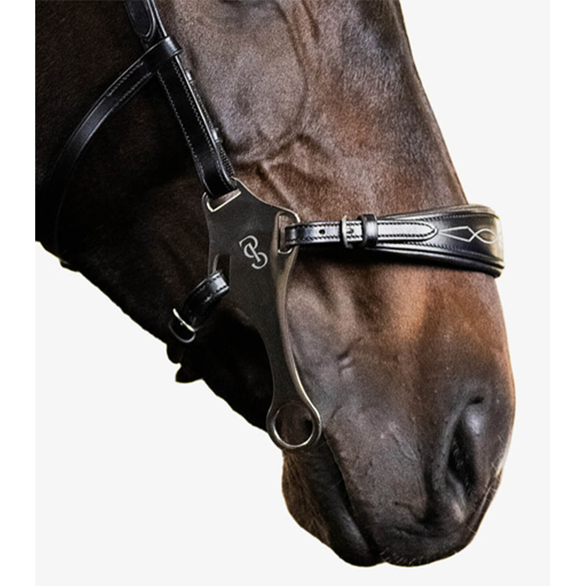 Nasenriemen Hackamore
