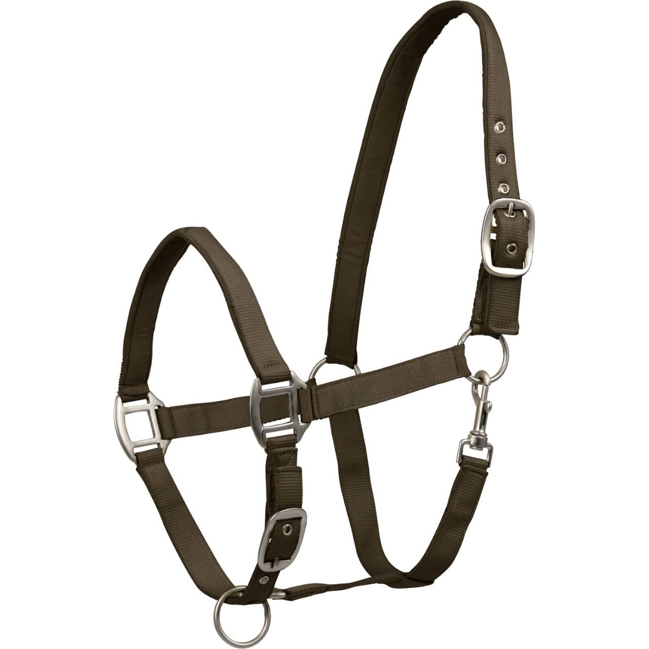 Perlonhalfter Satin