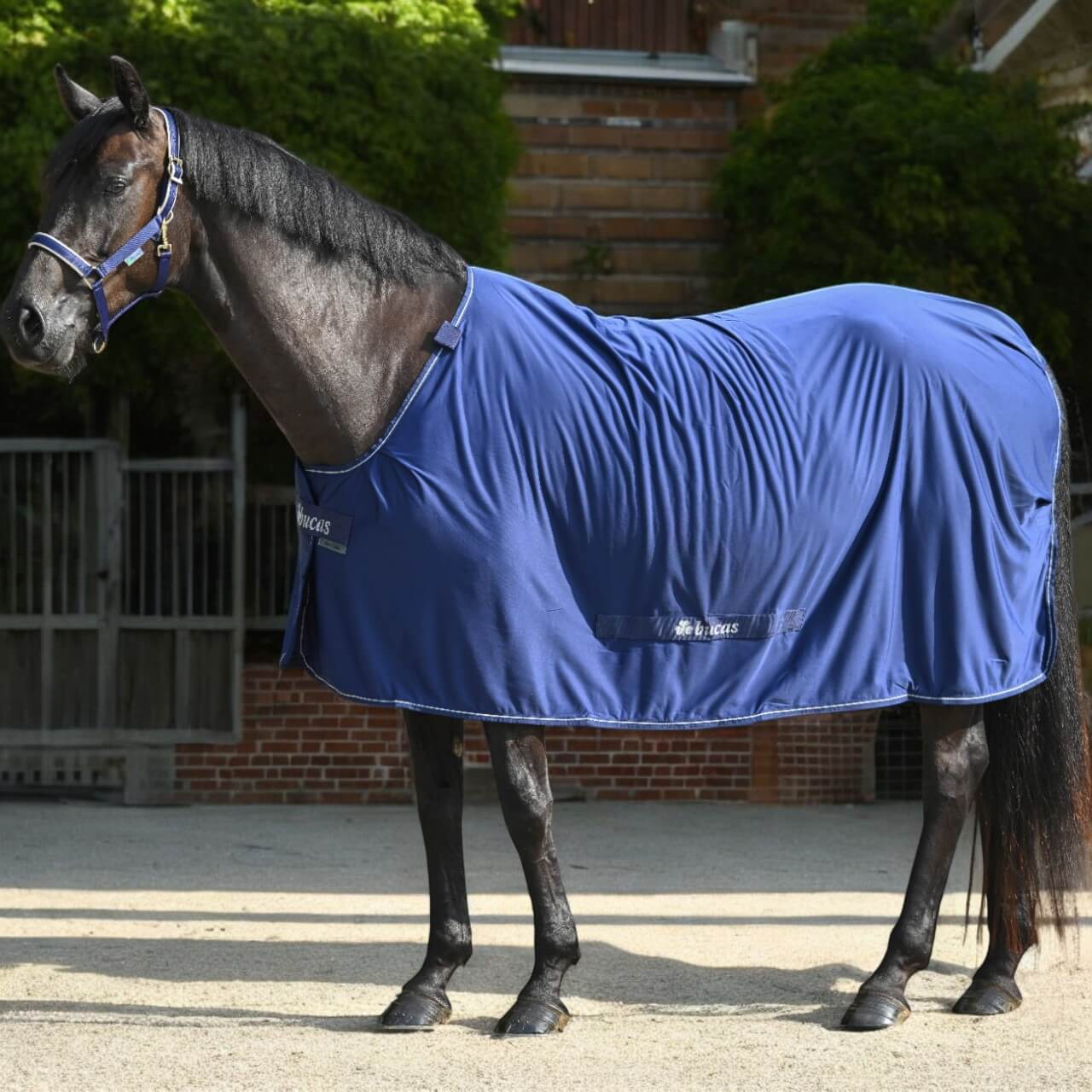 Stalldecke 0g Power Cooler & Neck Multifunktionsdecke