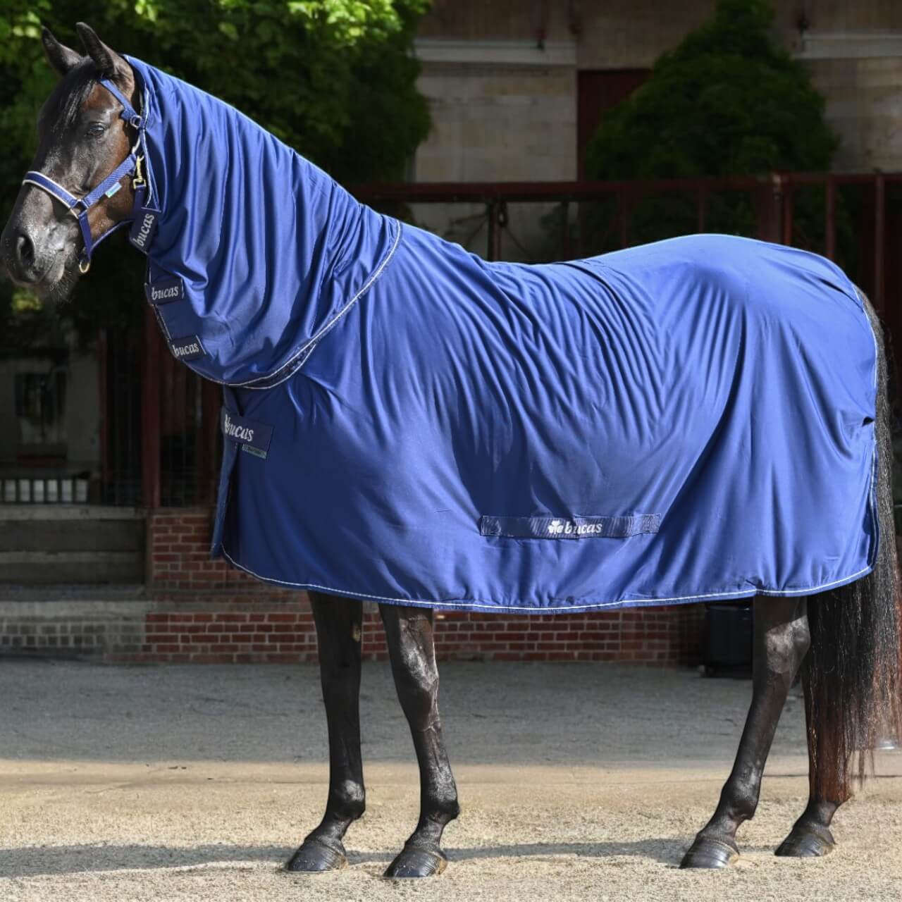 Stalldecke 0g Power Cooler & Neck Multifunktionsdecke