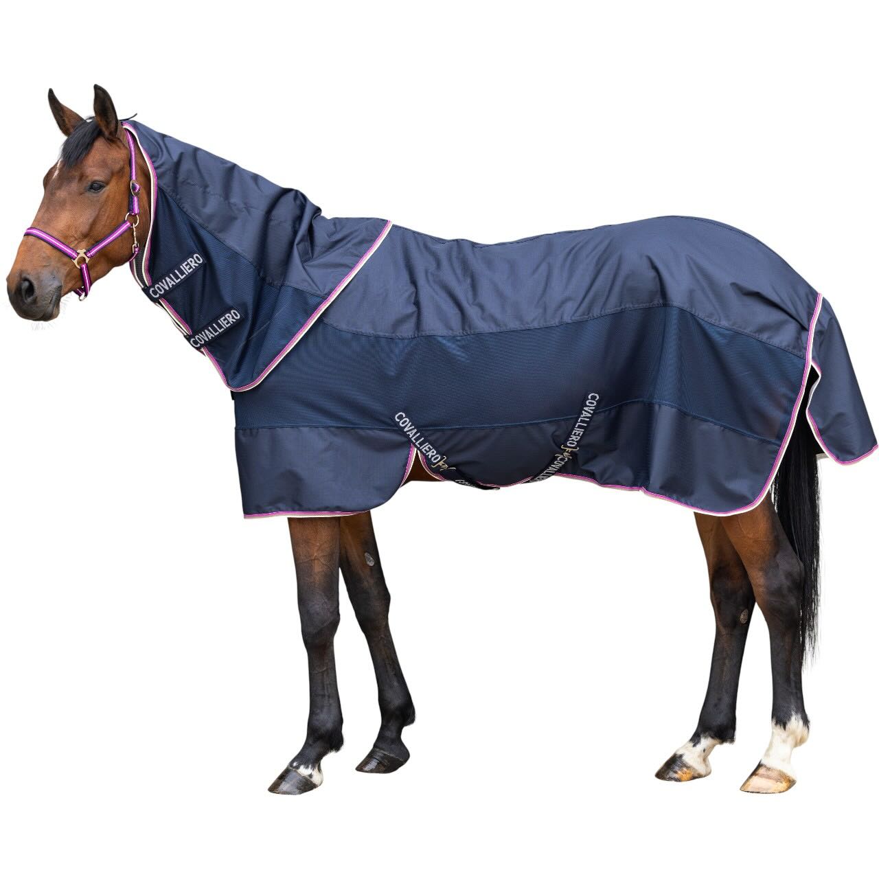 Covalliero Regendecke FS 2026 Kombidecke, Midsummer Blue, Pferd trägt die Decke.