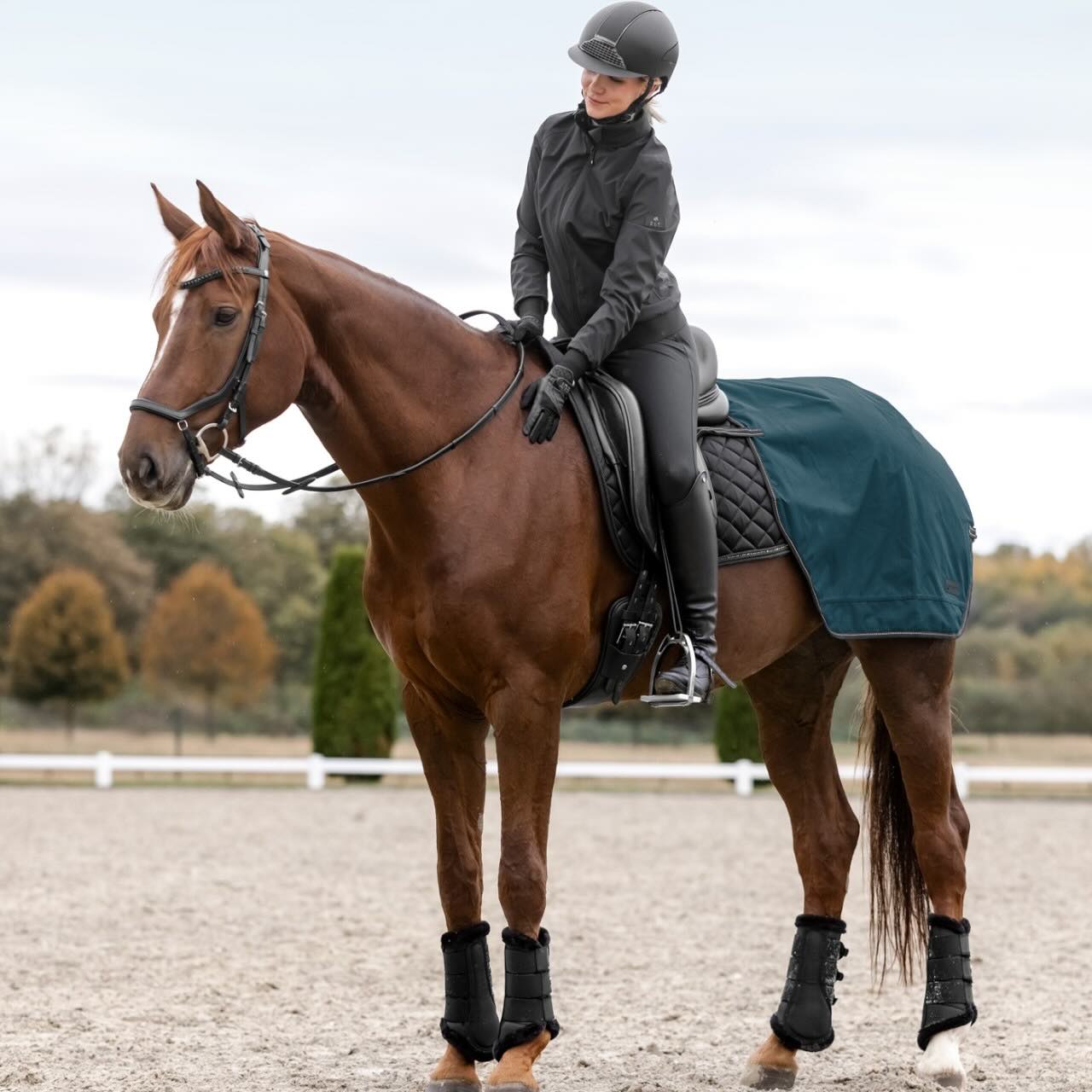 Softshelljacke Damen Performance-Ravenna HW 2025 Reitblouson
