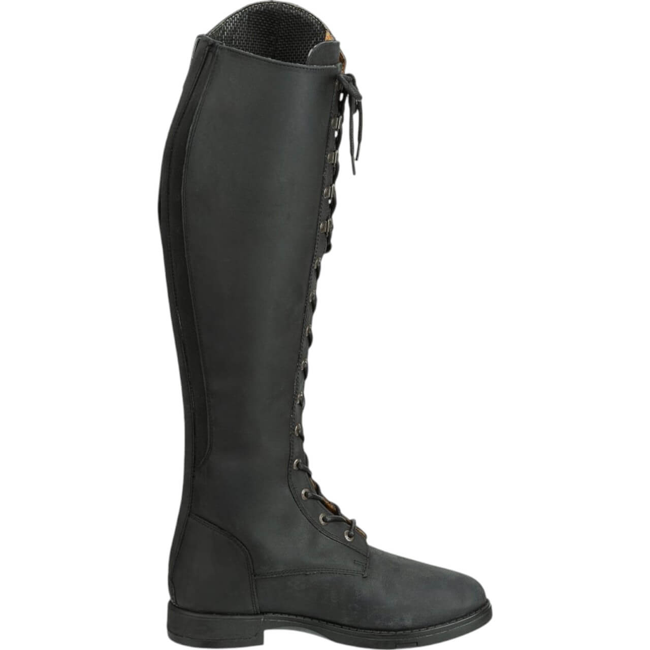 Reitstiefel Longford All Year Waterproof Stiefel