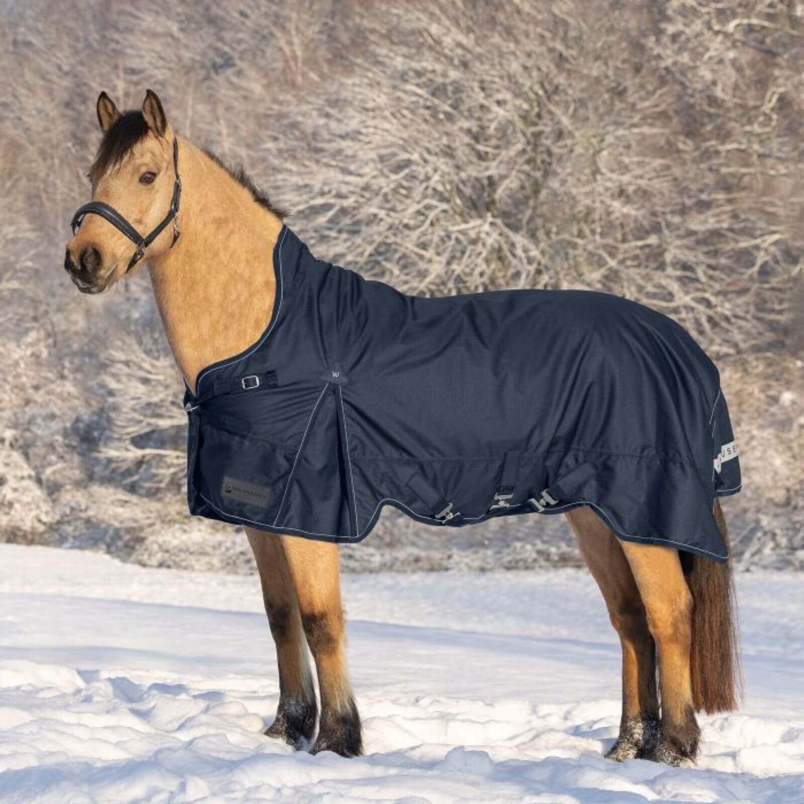Outdoordecke 100g High Neck Scandic Weidedecke