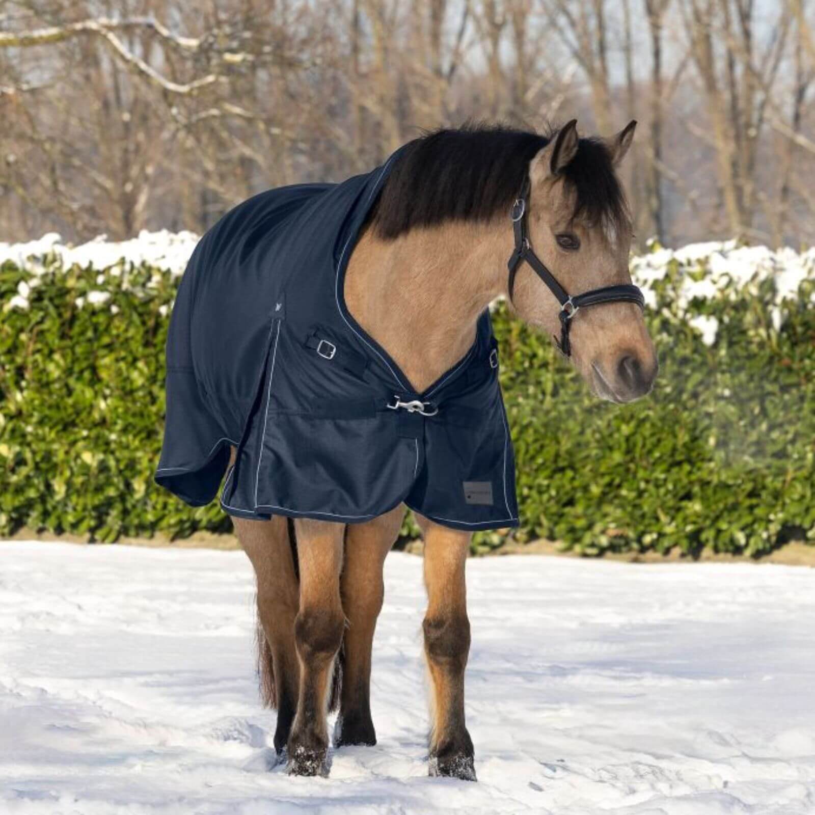 Outdoordecke 200g High Neck Scandic Weidedecke