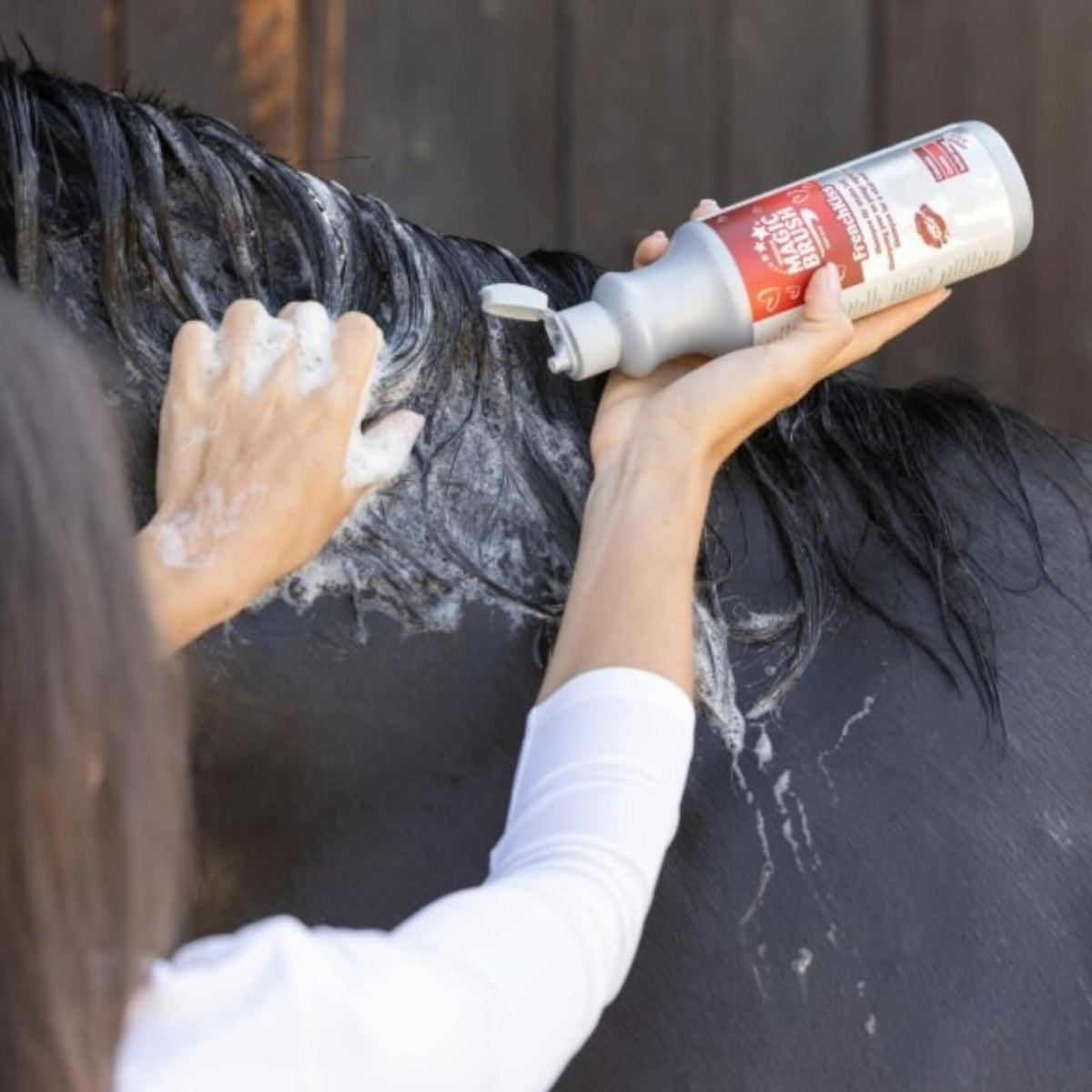 Magic Brush Shampoo Pferdeshampoo, Detailsaufnahme beim Einshampoonieren am Pferdehals.