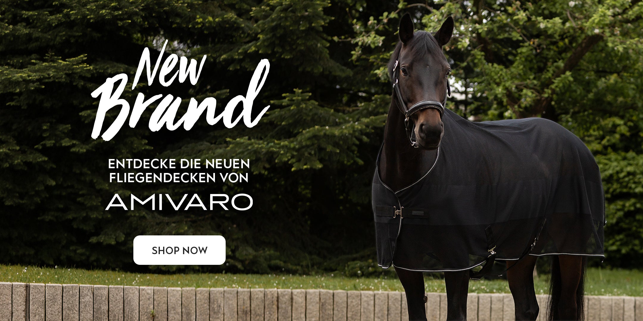Pferd mit Fliegendecke, Startseiten-Banner mit Text „New Brand“, „Amivaro“ und „Shop Now“.