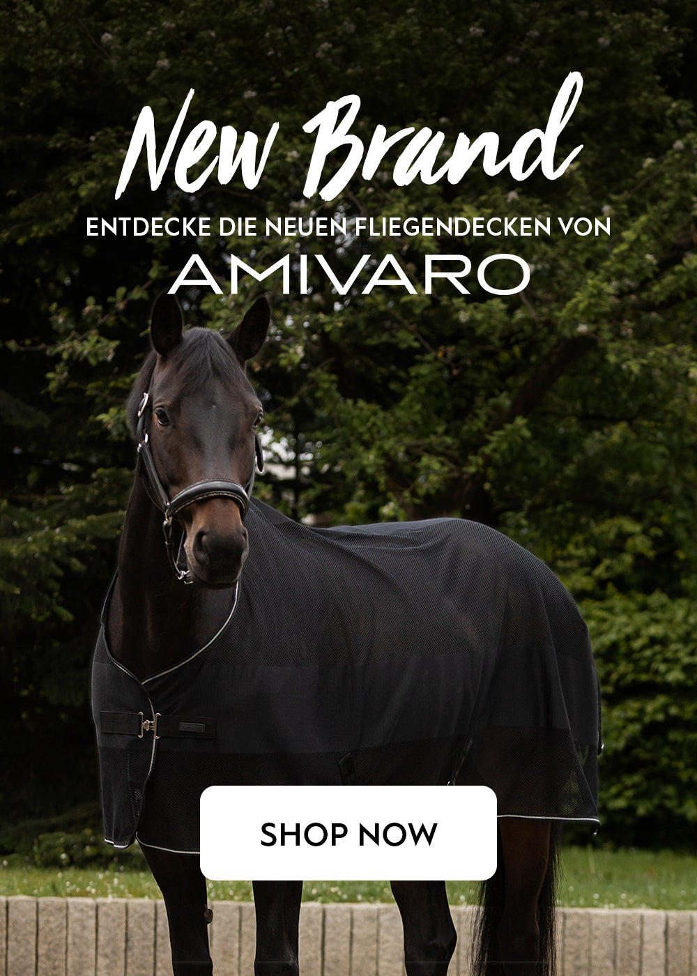 Pferd mit Fliegendecke vor Wald, Text: „New Brand“, „Entdecke die neuen Fliegendecken von AMIVARO“, „Shop Now“.
