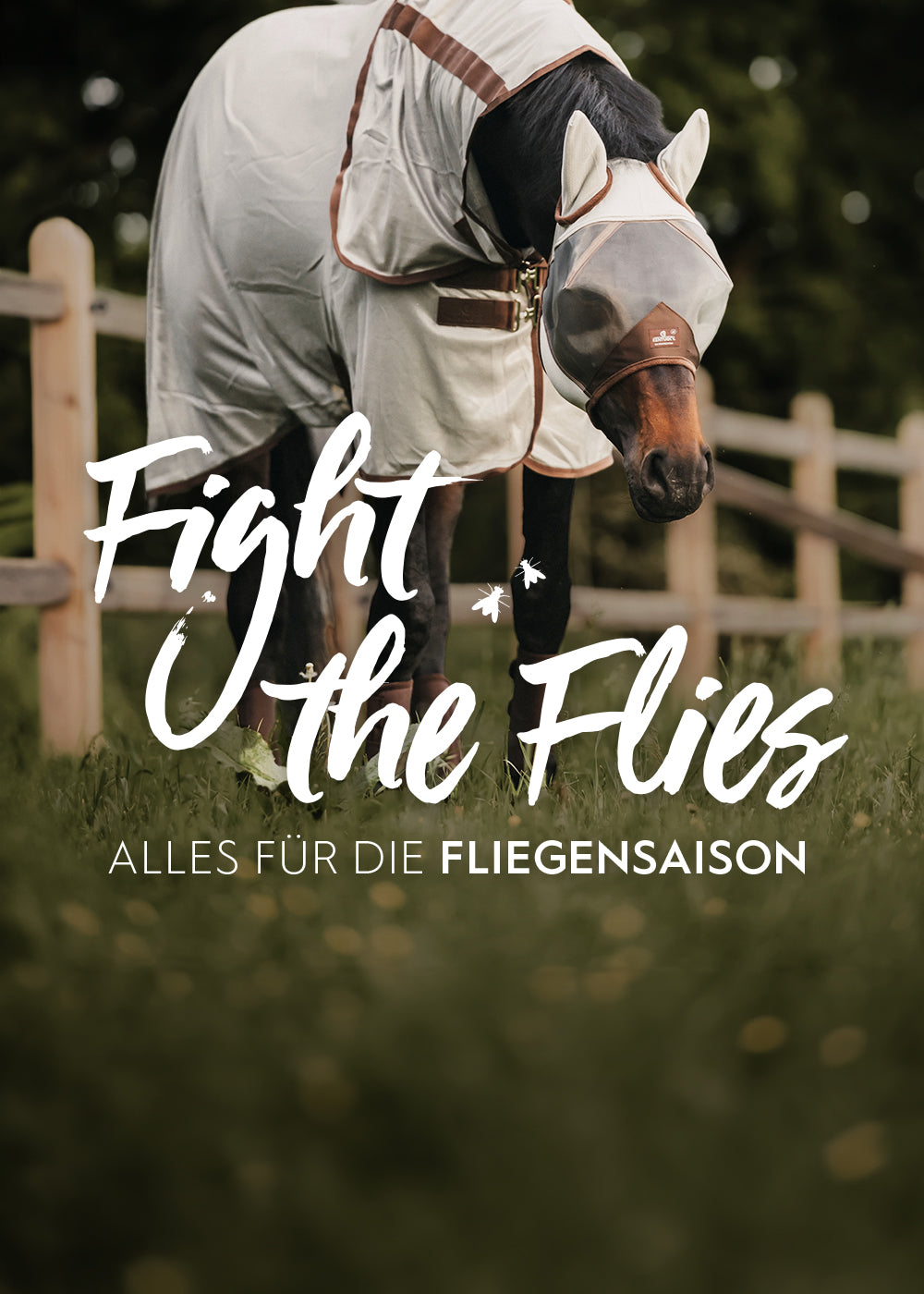 Pferd mit Fliegendecke und Fliegenmaske, Text: "Fight the Flies" und "Alles für die Fliegensaison".
