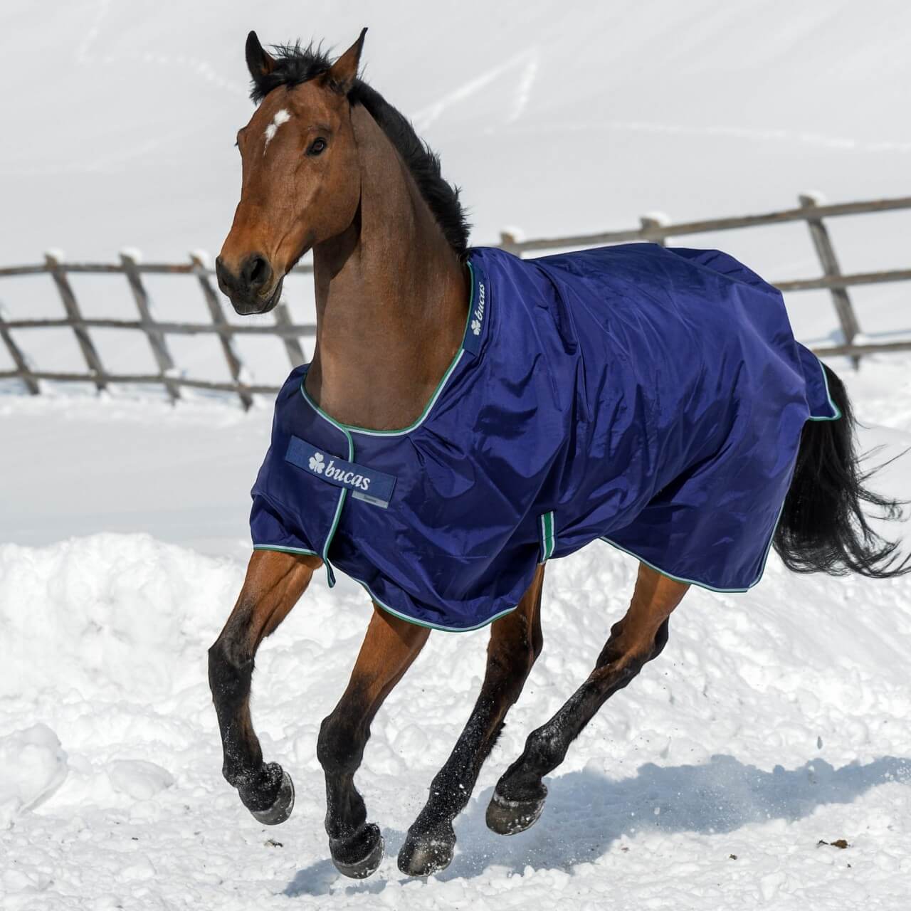 Outdoordecke 300g Smartex Turnout Extra Weidedecke