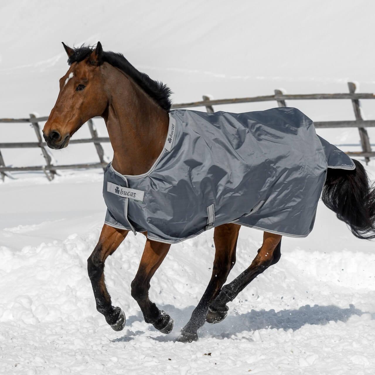 Outdoordecke 300g Smartex Turnout Extra Weidedecke