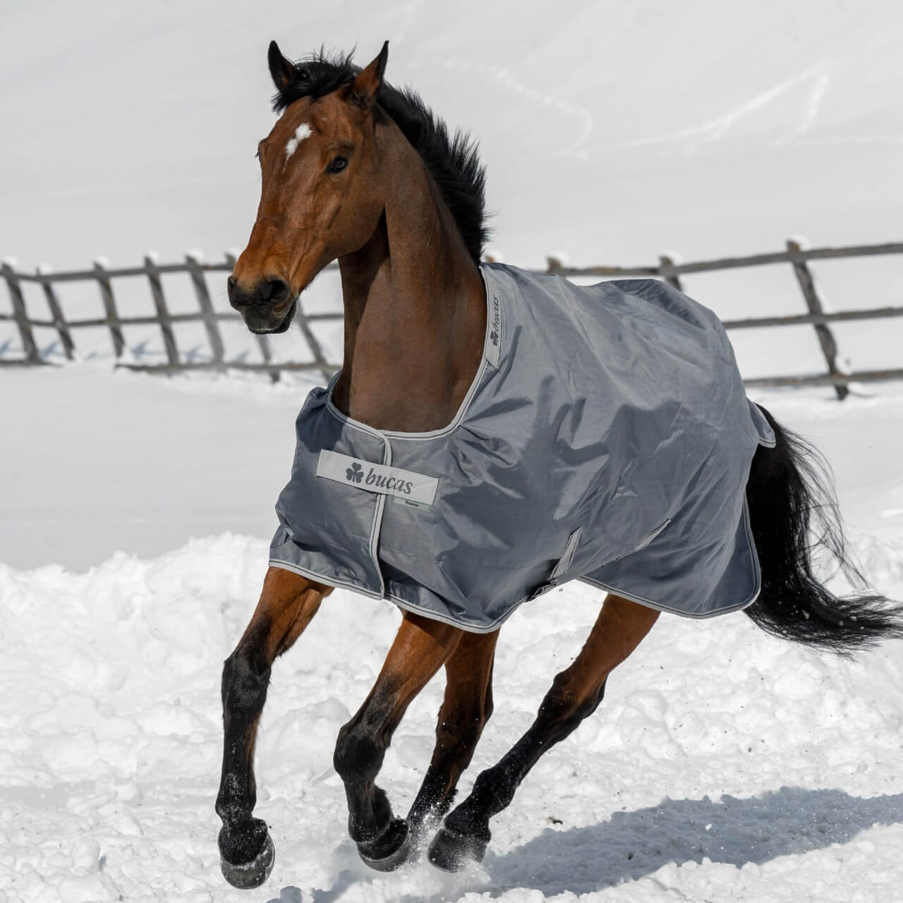 Outdoordecke 300g Smartex Turnout Extra Weidedecke