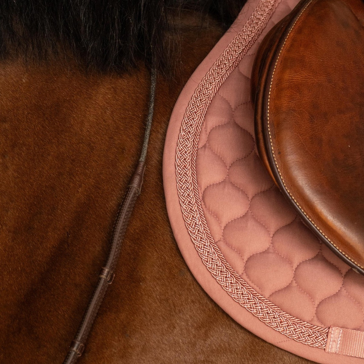 Czaprak skokowy Classic Onion Plaited Glitter Rope