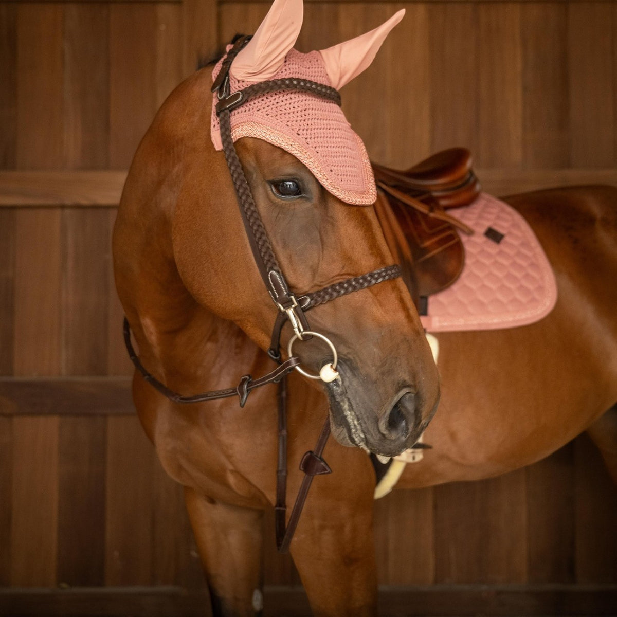 Czaprak skokowy Classic Onion Plaited Glitter Rope