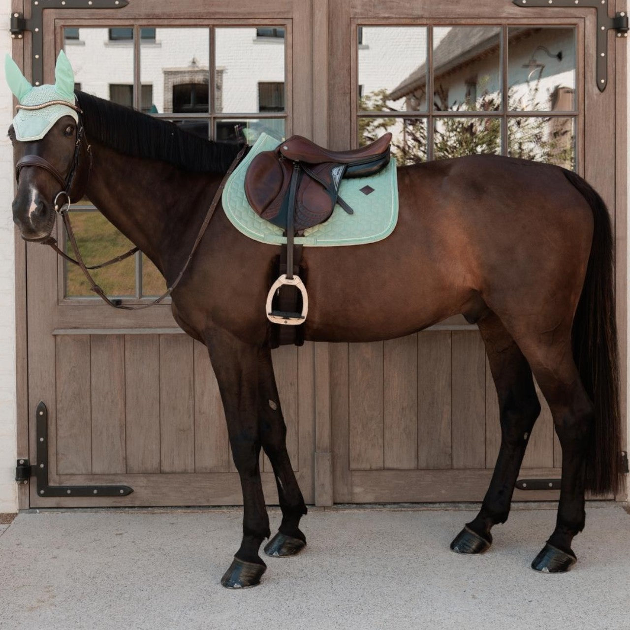 Springschabracke Velvet Samtschabracke Sattelunterlage