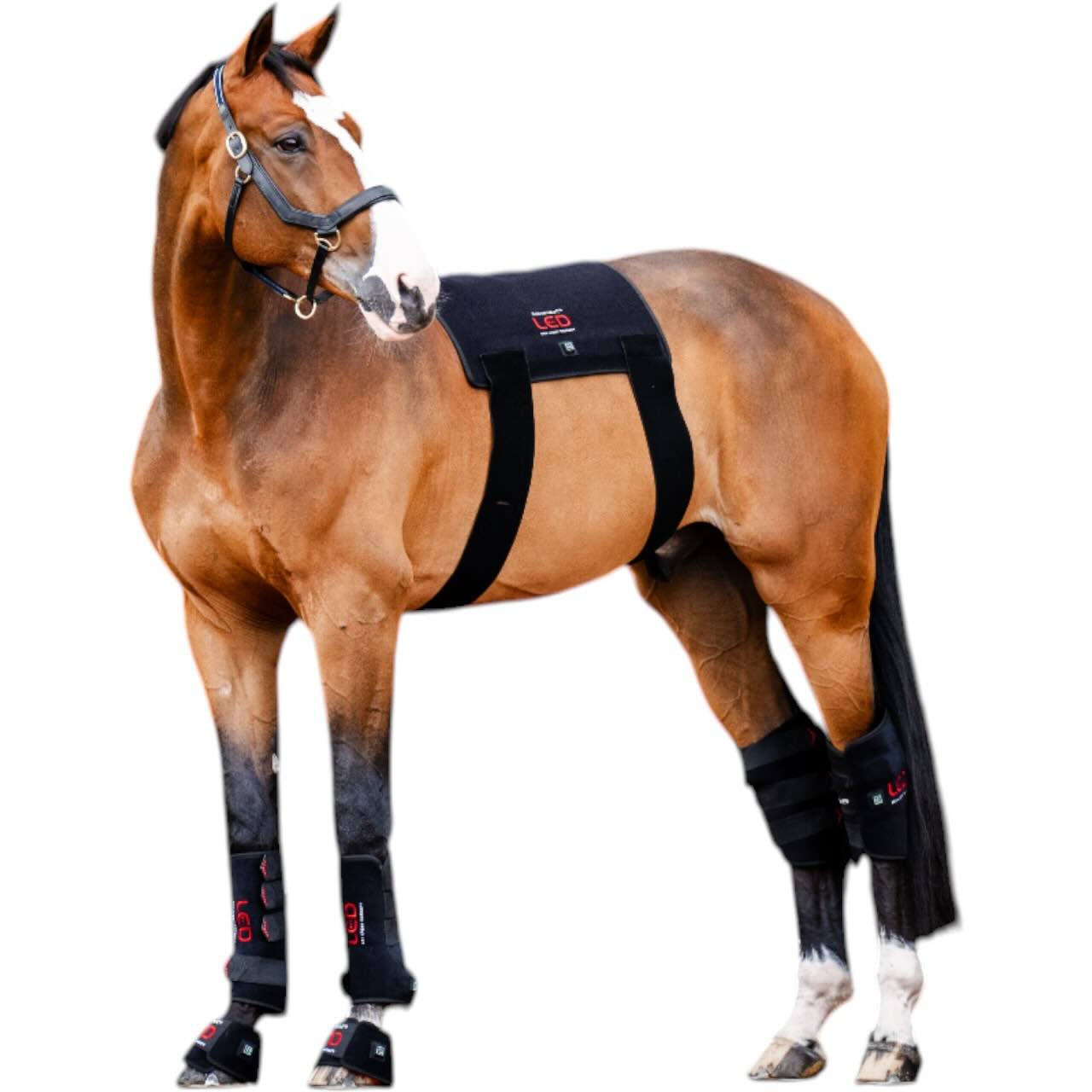Sprunggelenksgamasche Vorderbein LED-Rotlicht-Therapie Therapiegamasche