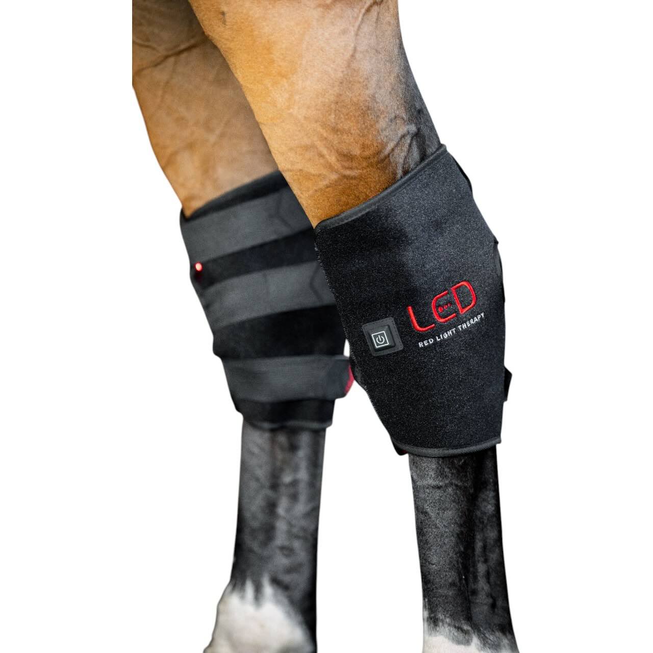 Sprunggelenksgamasche Vorderbein LED-Rotlicht-Therapie Therapiegamasche