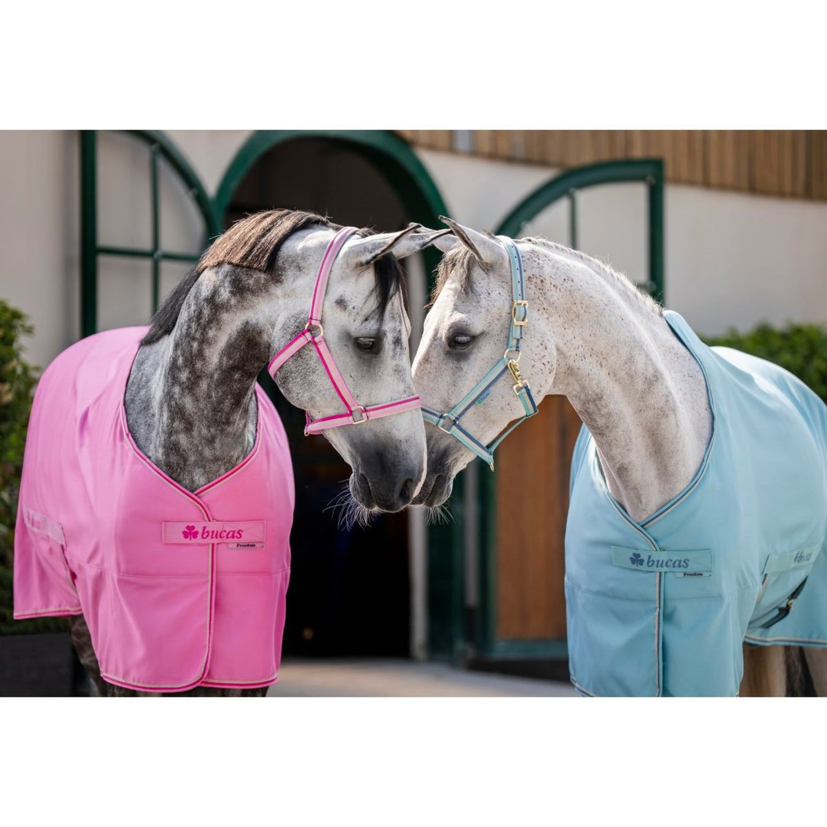 Stalldecke 0g Freedom Twill Sheet Transportdecke