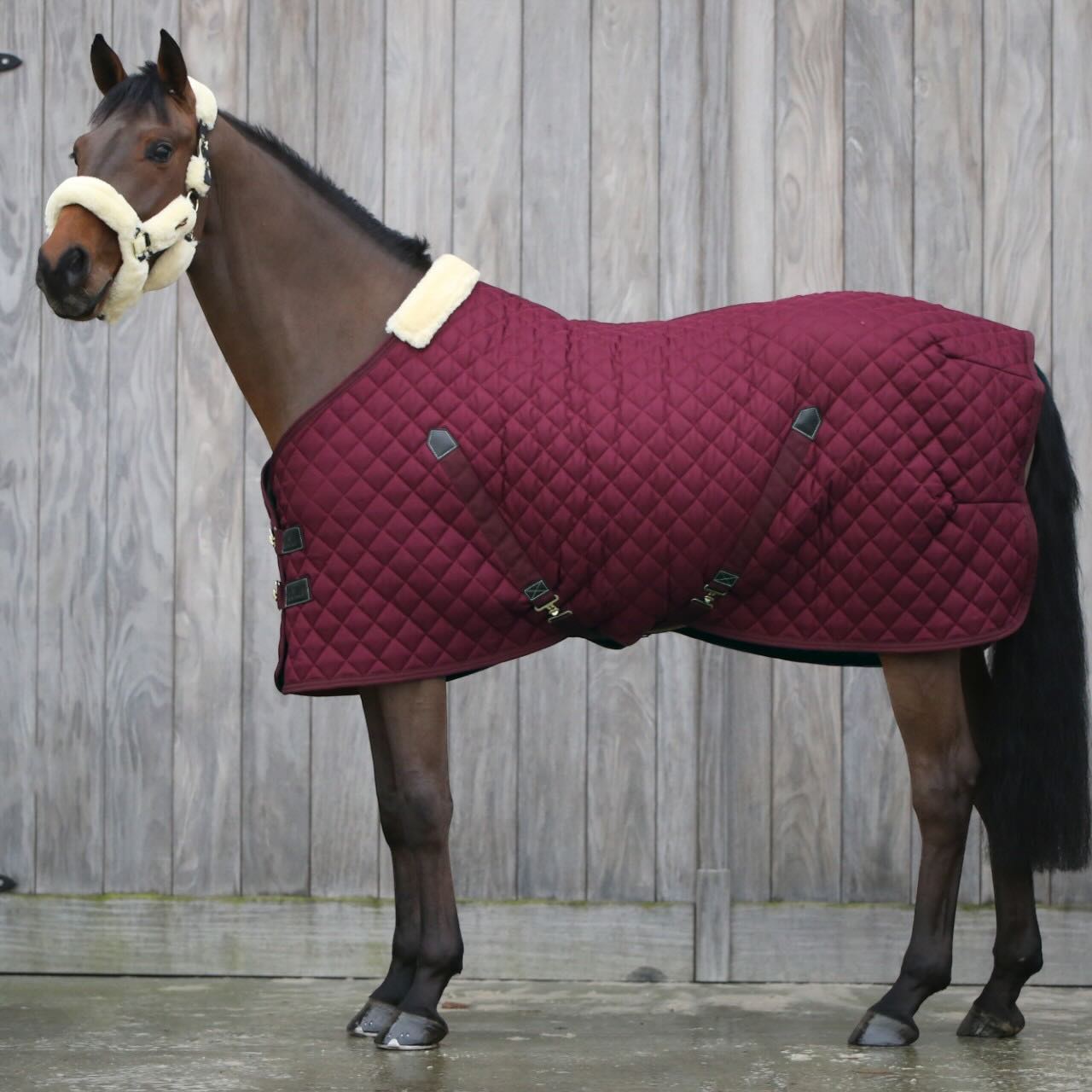Stalldecke 400g Stable Rug Pferdedecke