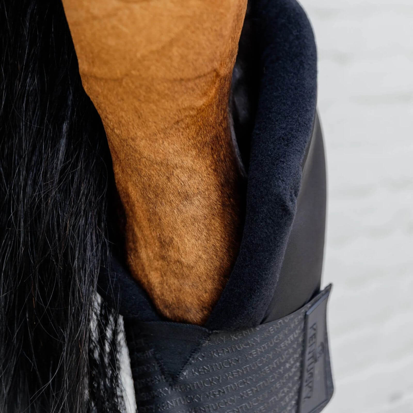 Stallgamaschen PROtect Lang (Hinten) Gamaschen