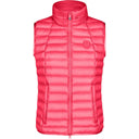 Raspberry Pink